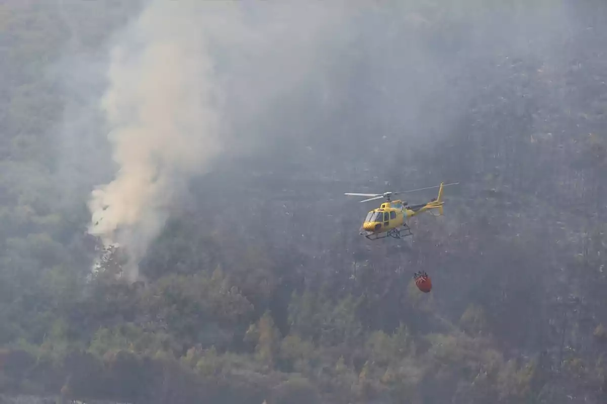 Helicóptero amarillo con un depósito de agua sobrevolando un incendio forestal mientras el humo se eleva entre los árboles Helicóptero amarillo con un depósito de agua sobrevolando un incendio forestal mientras el humo se eleva entre los árboles