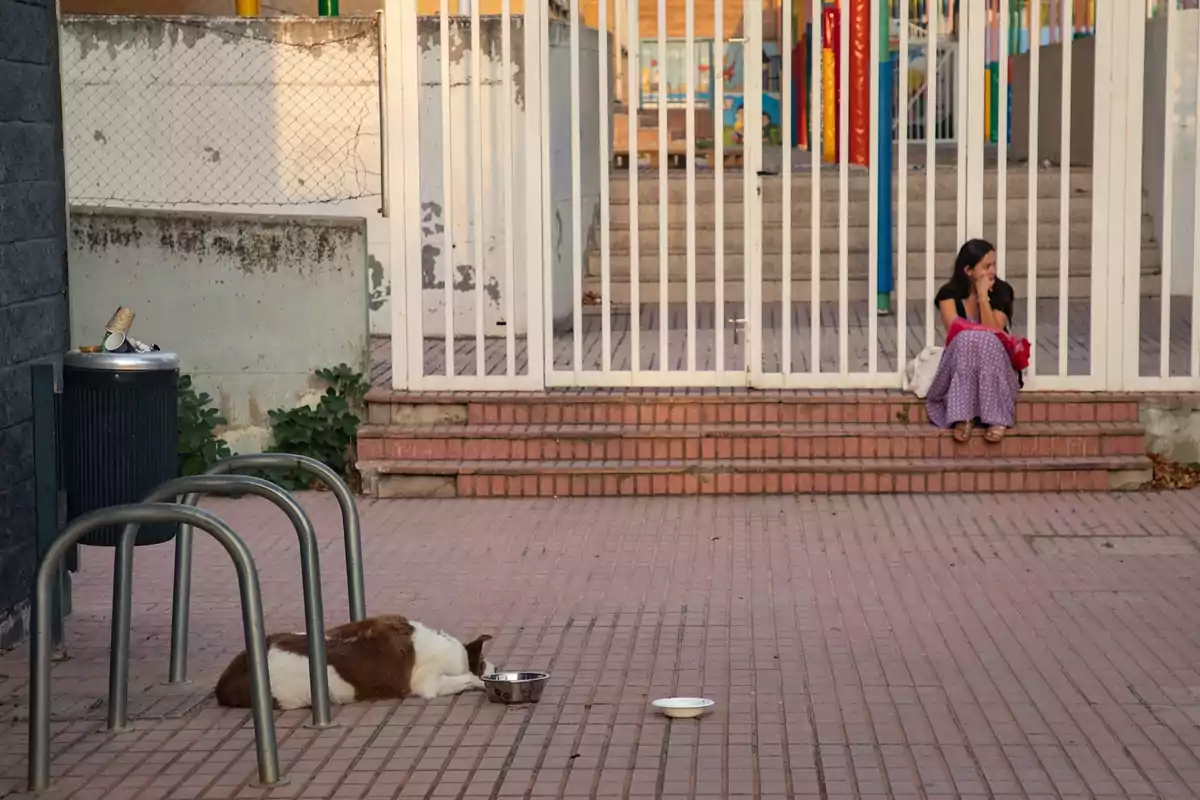 Una mujer sentada en unas escaleras frente a una reja blanca mientras un perro descansa en el suelo junto a dos platos Una mujer sentada en unas escaleras frente a una reja blanca mientras un perro descansa en el suelo junto a dos platos