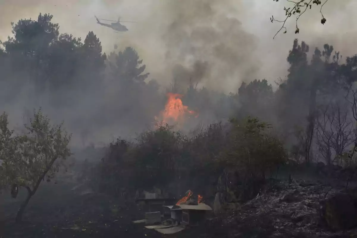 Un helicóptero combate un incendio forestal en una zona boscosa llena de humo y llamas