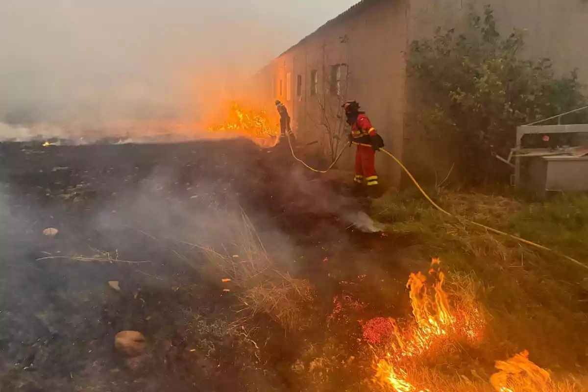 Bomberos combaten un incendio en un terreno cerca de un edificio mientras el fuego y el humo se extienden por el área