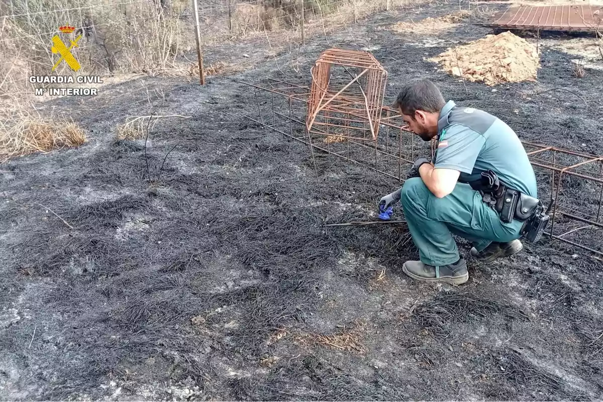 Un agente de la Guardia Civil inspecciona una zona de terreno quemado junto a una estructura metálica en un área afectada por un incendio forestal.