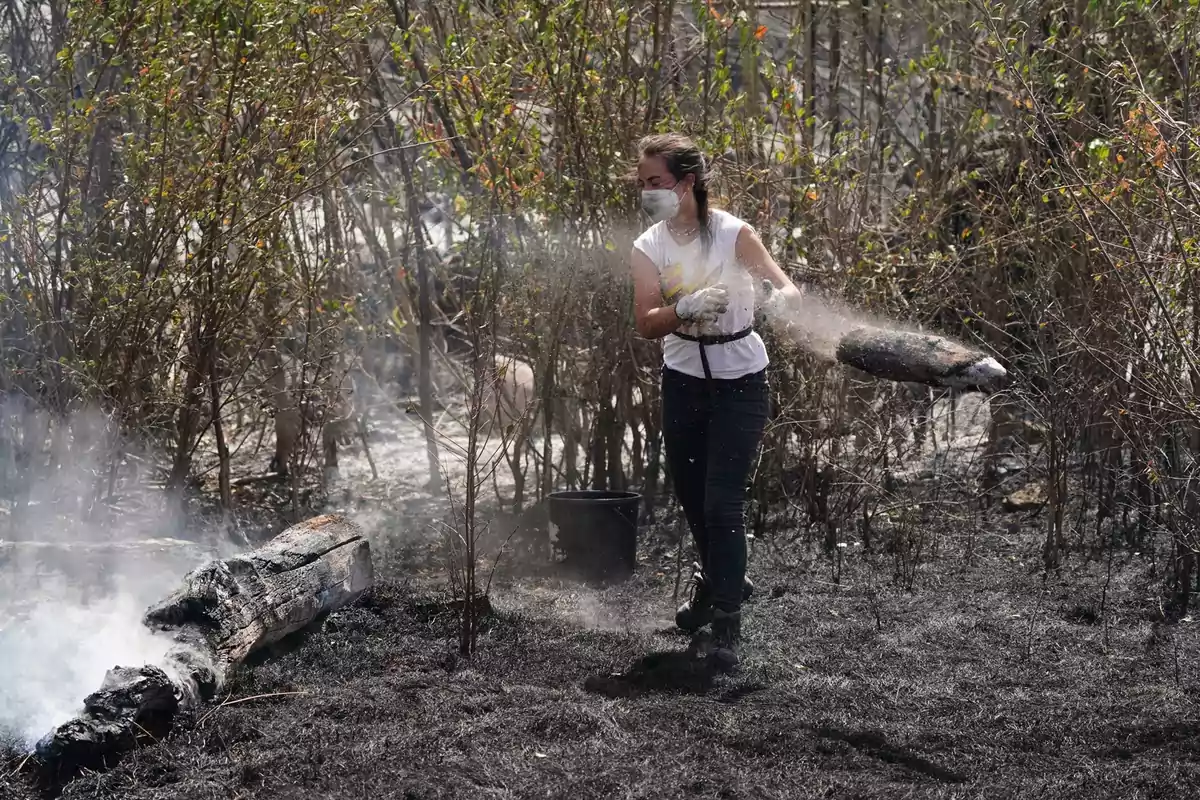 Mujer con mascarilla y guantes arroja tierra sobre troncos humeantes en un área quemada rodeada de vegetación Mujer con mascarilla y guantes arroja tierra sobre troncos humeantes en un área quemada rodeada de vegetación