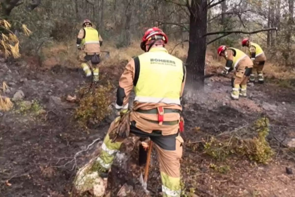 Bomberos trabajando en la extinción de un incendio forestal en una zona boscosa Bomberos trabajando en la extinción de un incendio forestal en una zona boscosa