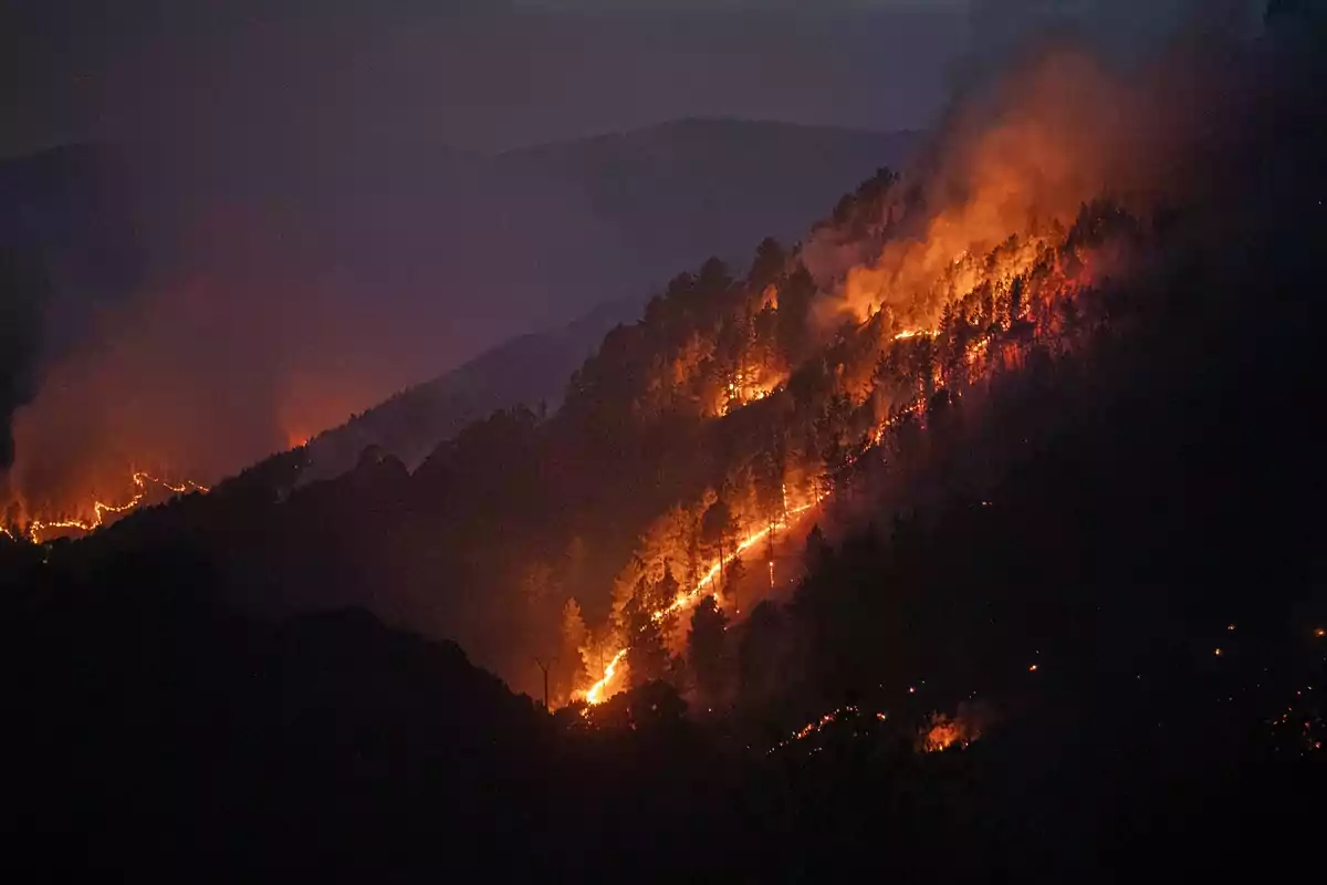 Incendio forestal avanzando por la ladera de una montaña durante la noche con humo y llamas visibles entre los árboles