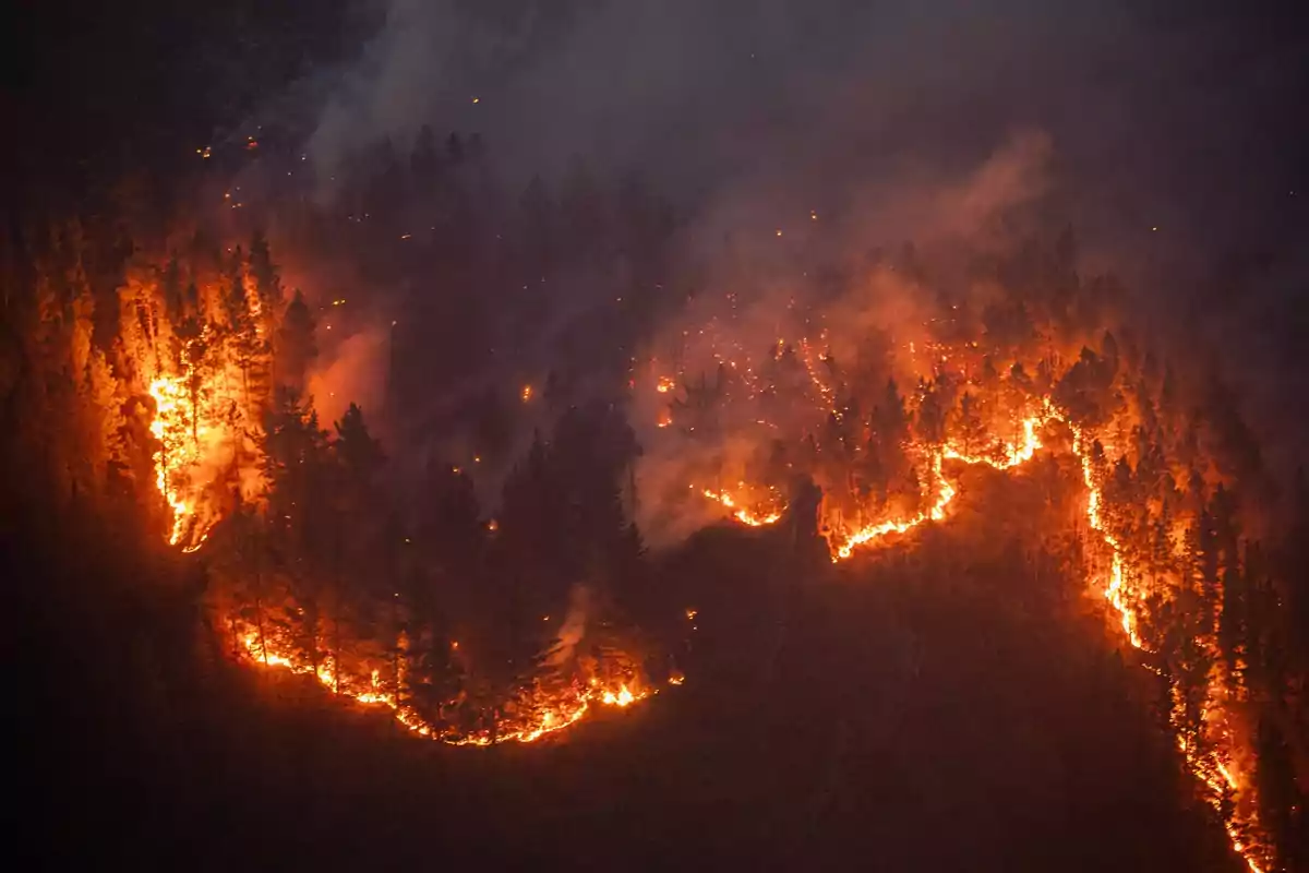 Incendio forestal arrasando una zona boscosa con llamas intensas y humo denso Incendio forestal arrasando una zona boscosa con llamas intensas y humo denso