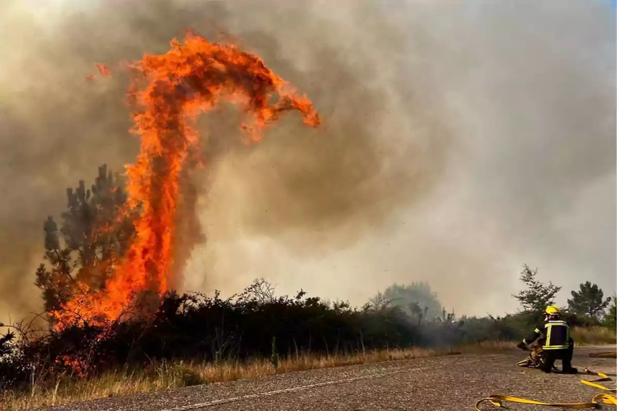 Un bombero combate un incendio forestal mientras una gran llama se eleva en forma curva sobre los árboles y el humo cubre el cielo Un bombero combate un incendio forestal mientras una gran llama se eleva en forma curva sobre los árboles y el humo cubre el cielo