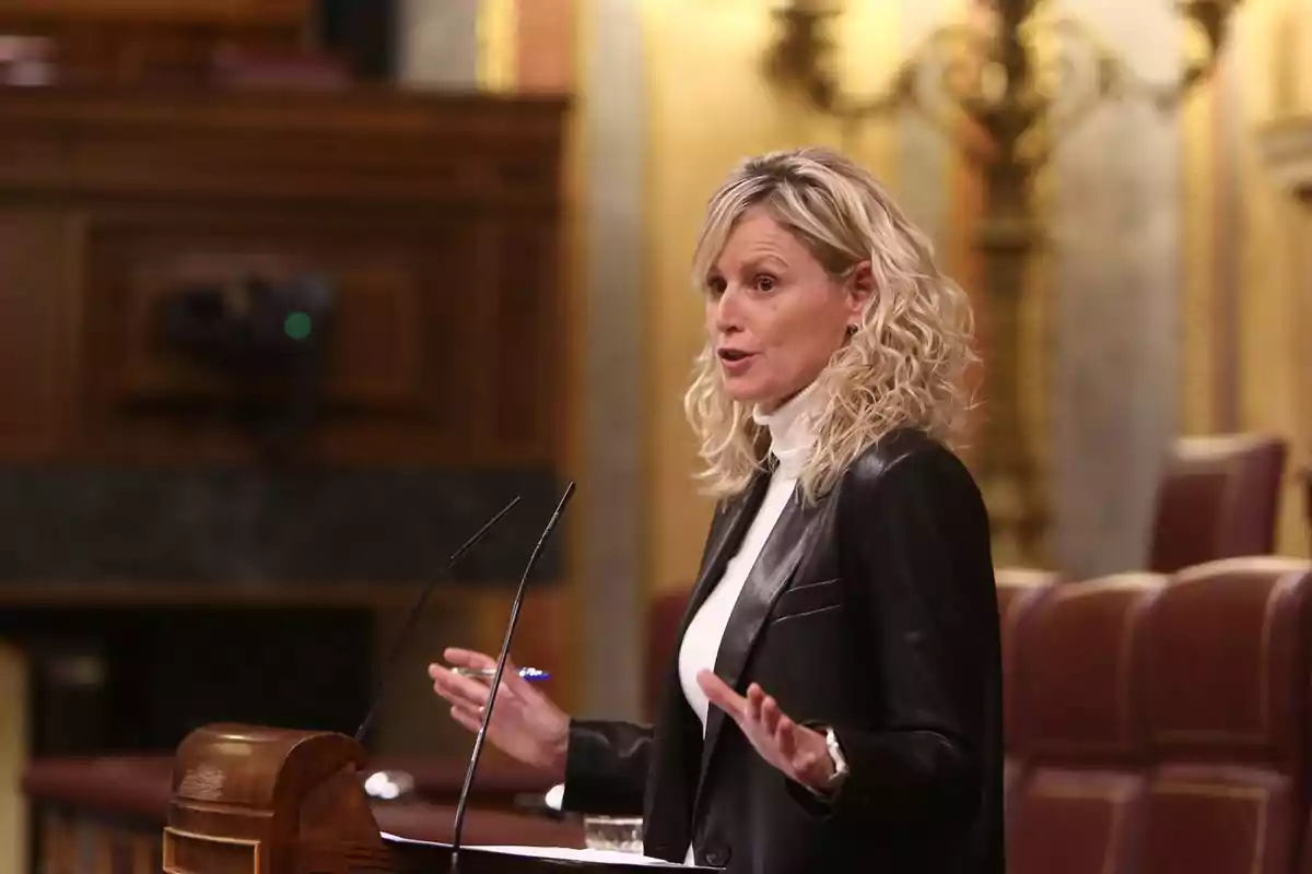 Mujer de cabello rubio rizado hablando en un podio dentro de un recinto parlamentario Mujer de cabello rubio rizado hablando en un podio dentro de un recinto parlamentario