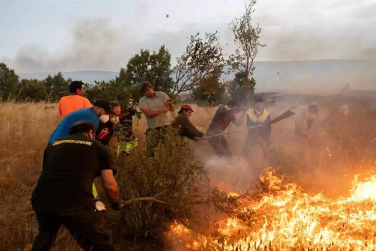 Varias personas intentan apagar un incendio forestal en un campo usando ramas y herramientas improvisadas mientras el fuego avanza entre la vegetación seca Varias personas intentan apagar un incendio forestal en un campo usando ramas y herramientas improvisadas mientras el fuego avanza entre la vegetación seca