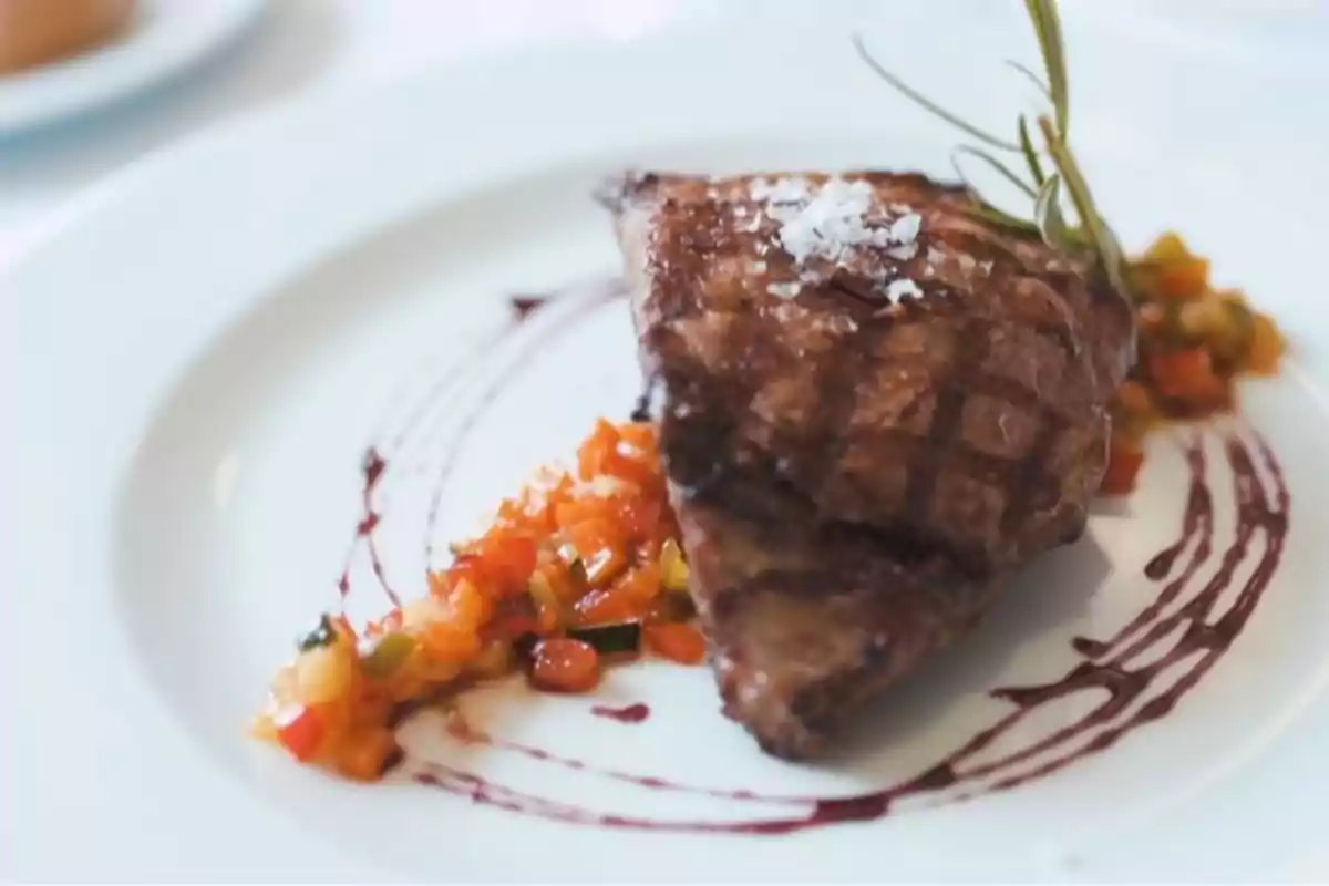 Plato gourmet con filete de carne asada acompañado de vegetales picados y decorado con salsa y una ramita de romero Plato gourmet con filete de carne asada acompañado de vegetales picados y decorado con salsa y una ramita de romero