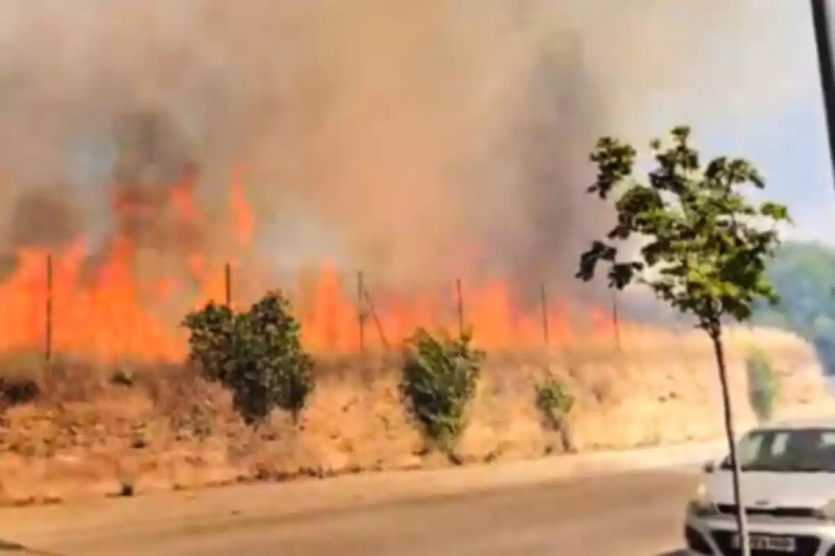 Incendio forestal junto a una carretera con humo denso y llamas altas cerca de algunos árboles y un coche estacionado Incendio forestal junto a una carretera con humo denso y llamas altas cerca de algunos árboles y un coche estacionado