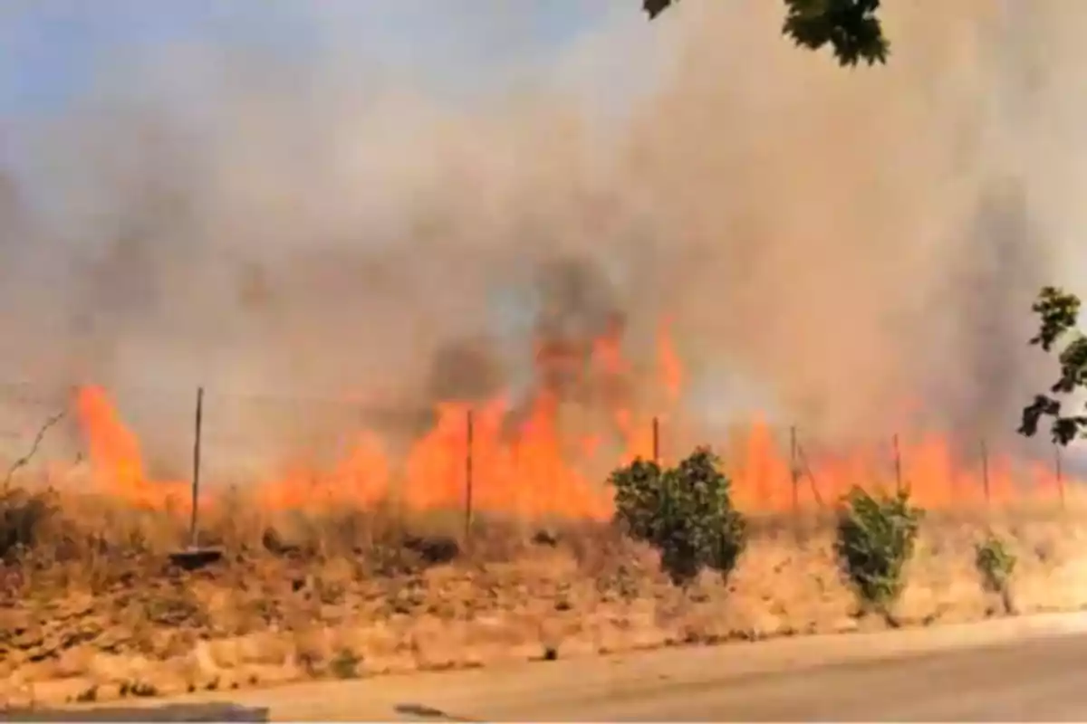 Fuego y humo en un terreno cubierto de pasto seco junto a una carretera Fuego y humo en un terreno cubierto de pasto seco junto a una carretera