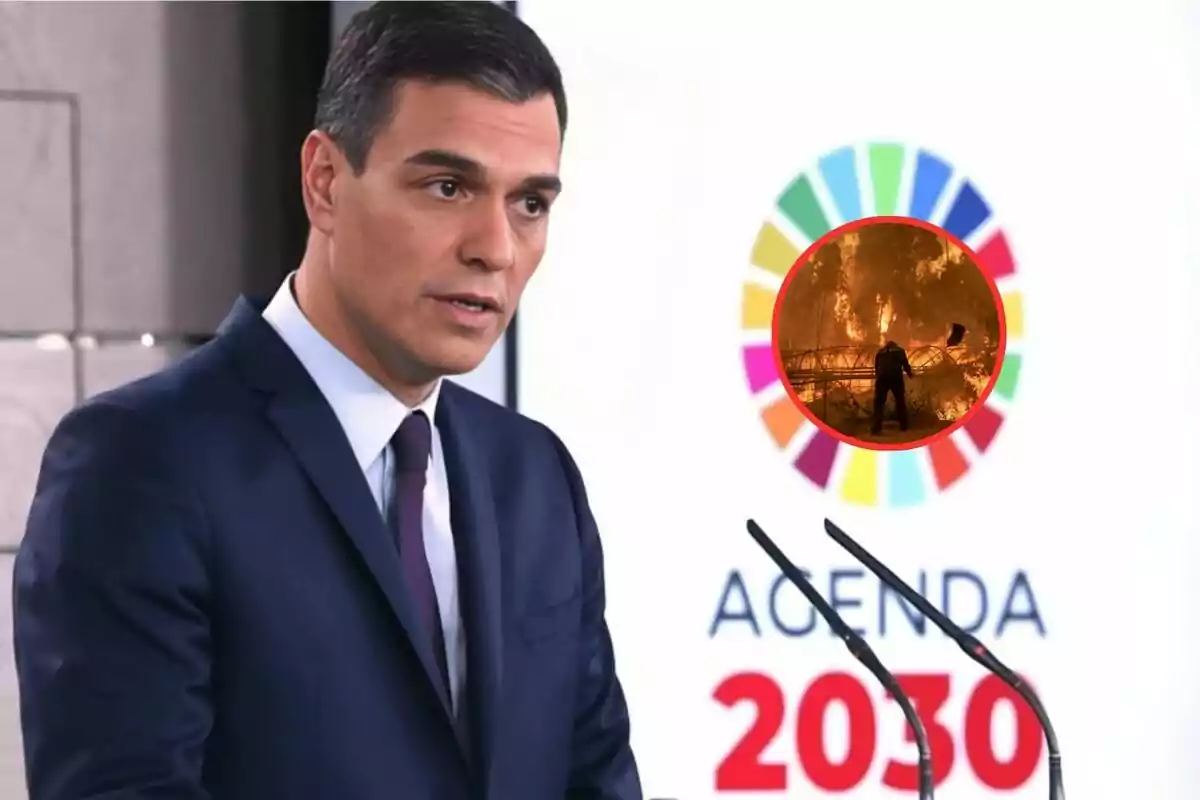 Estos son los objetivos de la Agenda 2030 que están acabando con la ganadería española
