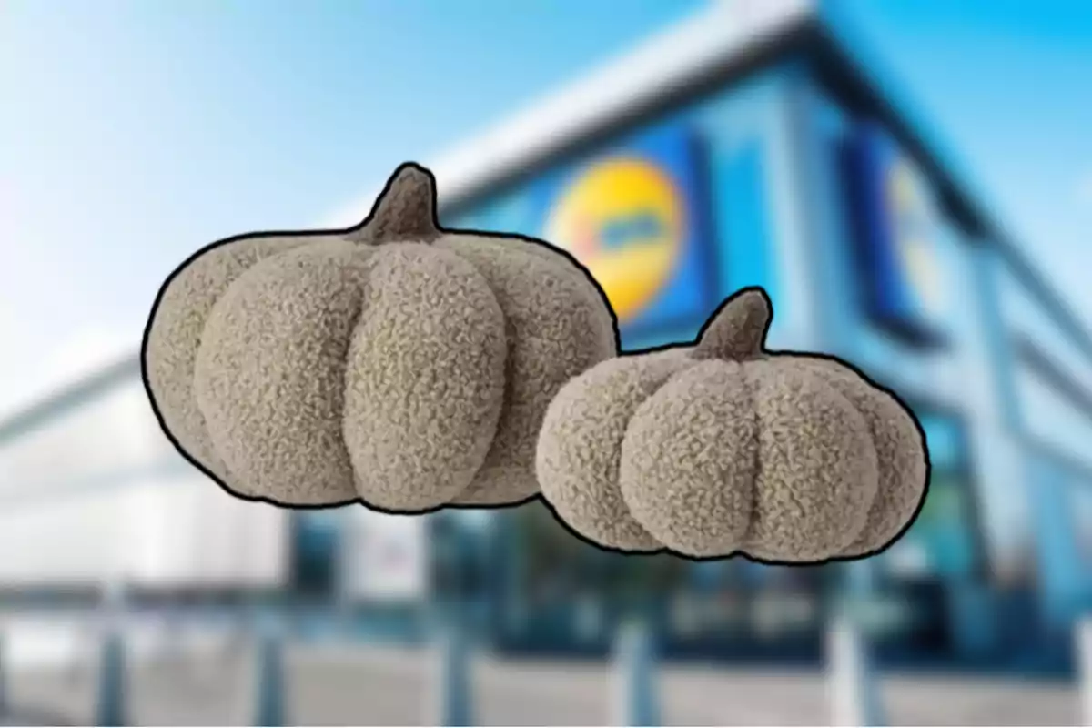 Dos calabazas decorativas de peluche en tonos beige frente a una tienda con el logo de Lidl desenfocado al fondo Dos calabazas decorativas de peluche en tonos beige frente a una tienda con el logo de Lidl desenfocado al fondo
