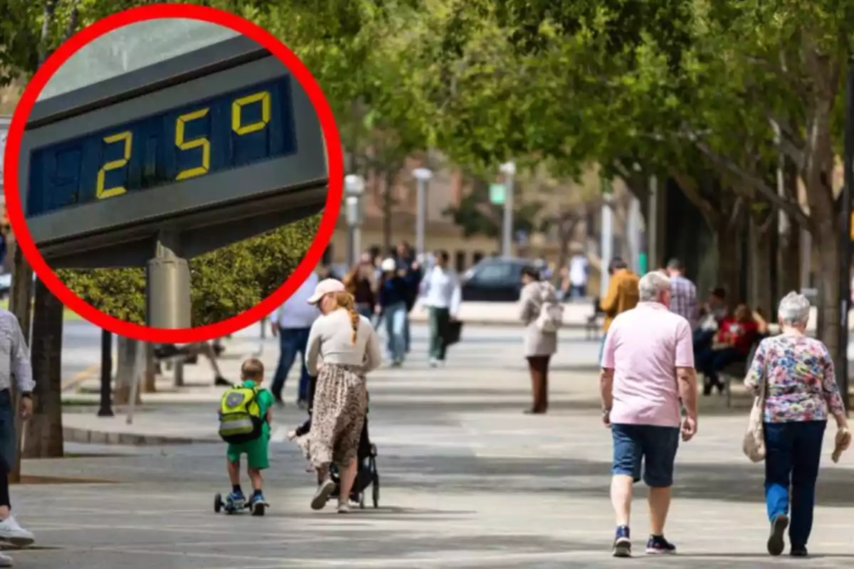 Personas caminando por una calle arbolada durante un día soleado con una temperatura de 25 grados mostrada en un termómetro digital Personas caminando por una calle arbolada durante un día soleado con una temperatura de 25 grados mostrada en un termómetro digital
