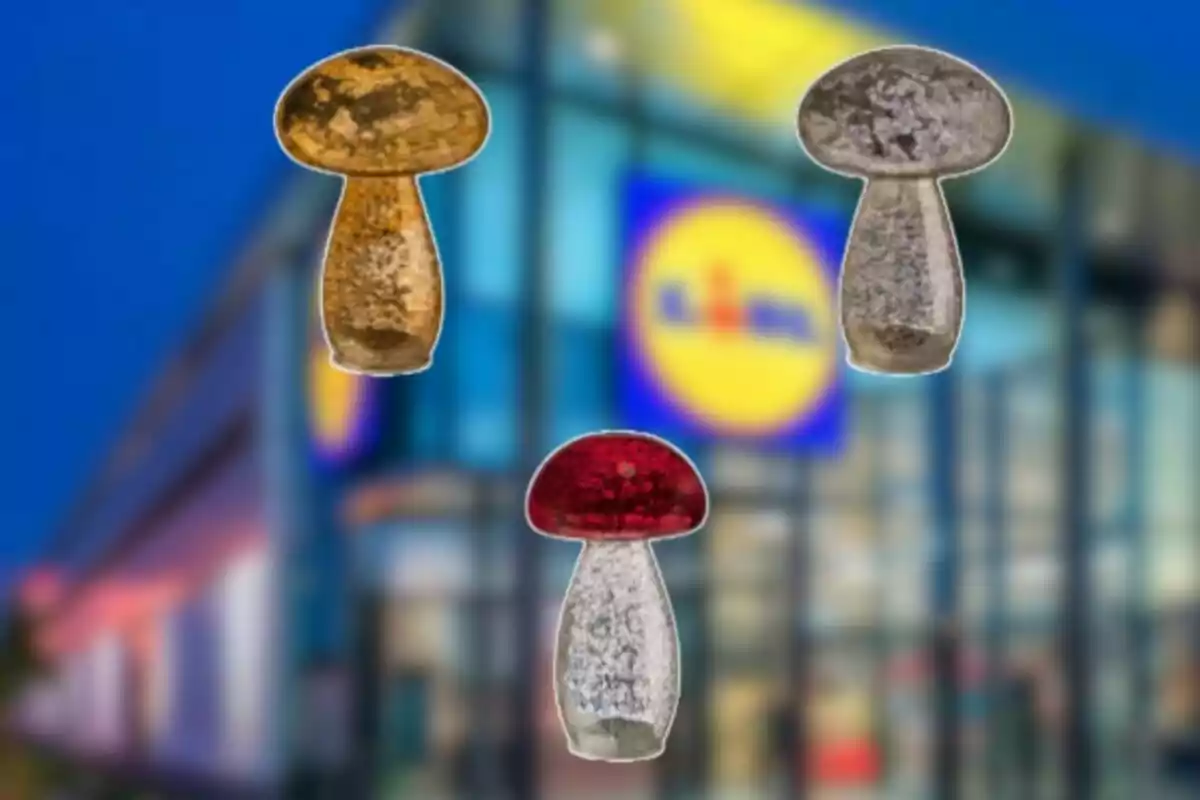 Tres figuras de hongos de diferentes colores sobre un fondo borroso de una tienda con el logo de Lidl. Tres figuras de hongos de diferentes colores sobre un fondo borroso de una tienda con el logo de Lidl.