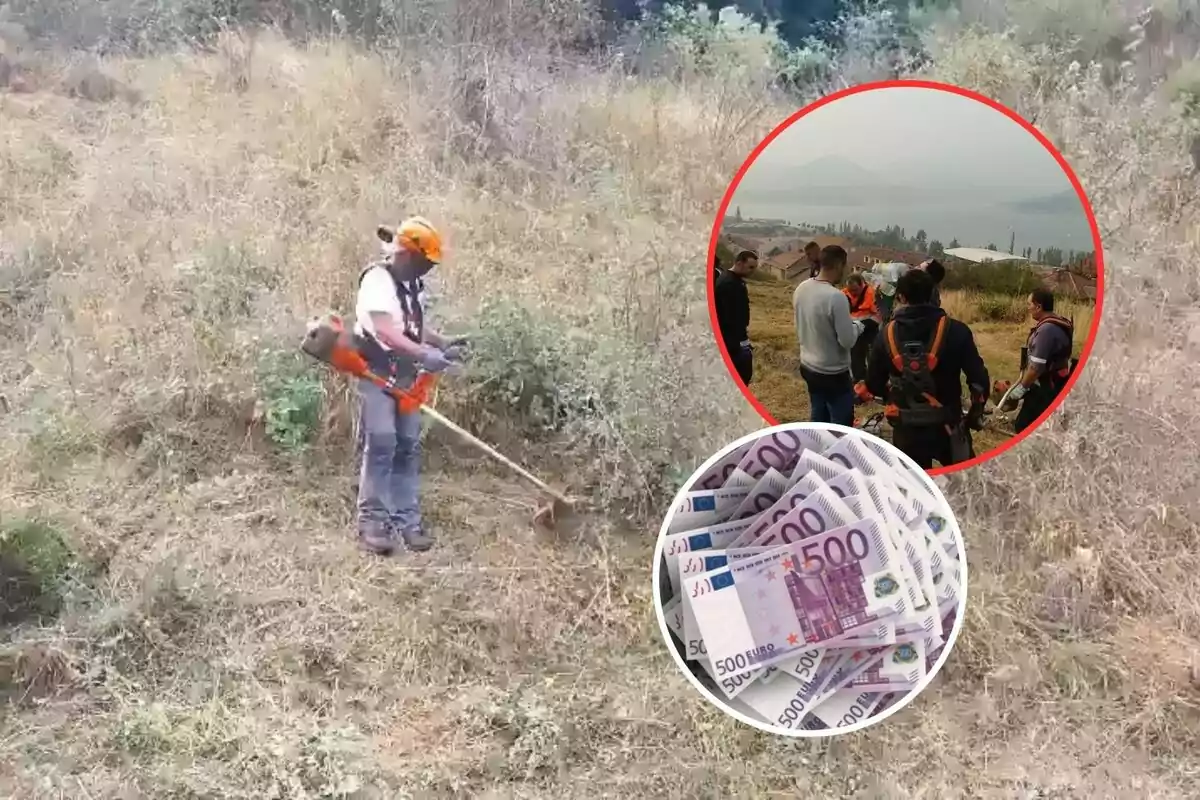 Persona usando desbrozadora en un terreno seco con dos recuadros, uno mostrando un grupo de personas reunidas al aire libre y otro con billetes de 500 euros.