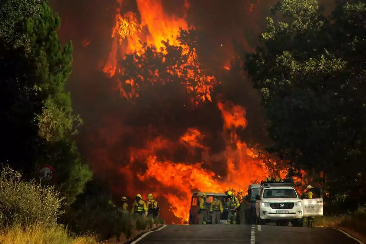 Un grupo de bomberos y vehículos de emergencia trabajan para controlar un gran incendio forestal que avanza entre los árboles junto a una carretera