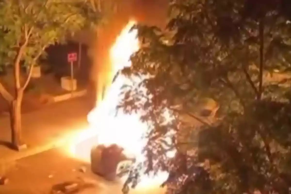 Contenedor de basura ardiendo en llamas en una calle durante la noche rodeado de árboles Contenedor de basura ardiendo en llamas en una calle durante la noche rodeado de árboles