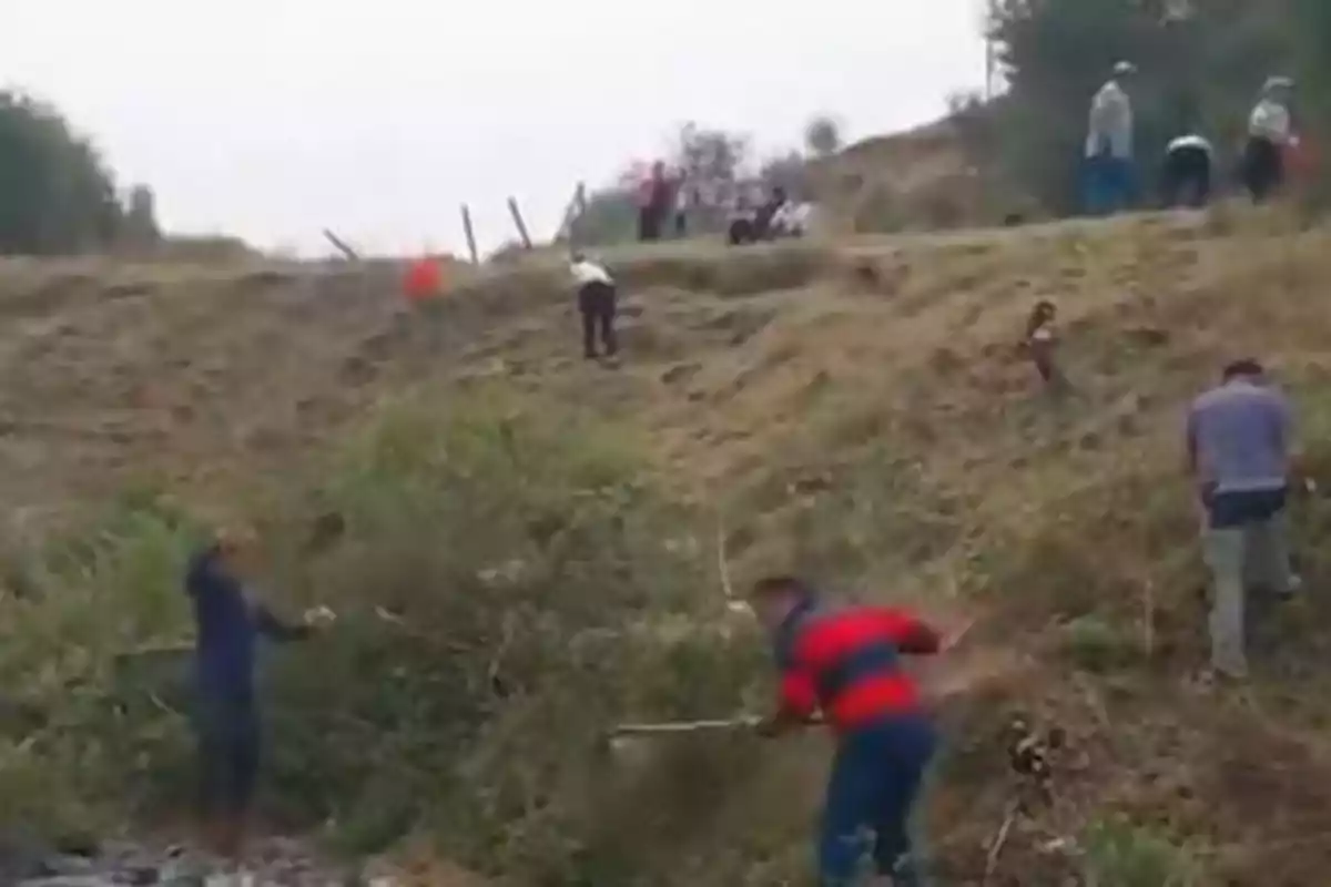 Varias personas trabajan limpiando y desyerbando un terreno inclinado en una zona rural Varias personas trabajan limpiando y desyerbando un terreno inclinado en una zona rural