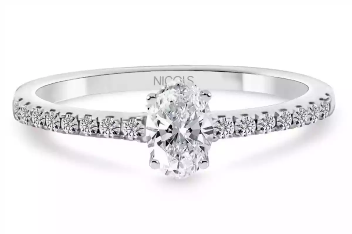De los anillos de Georgina y Taylor Swift a la joyería Nicols