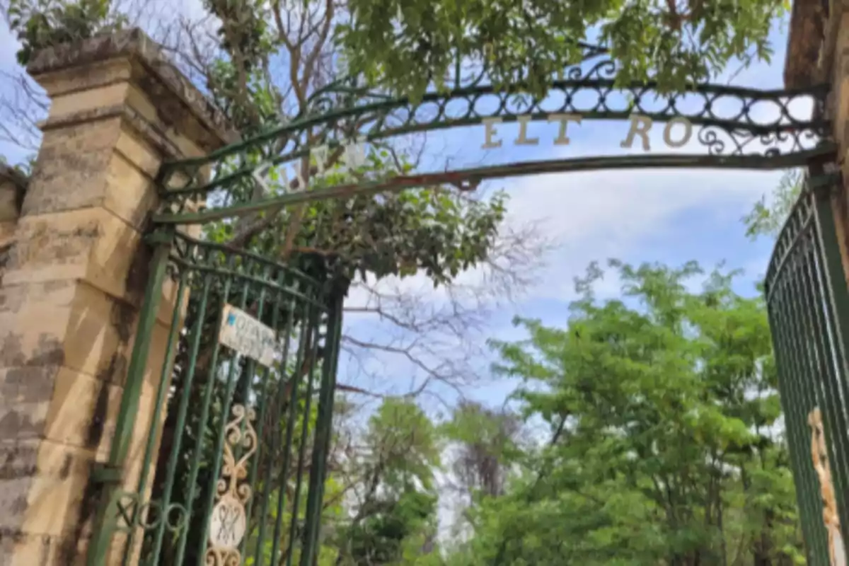 Portón de hierro forjado con columnas de piedra rodeado de árboles y vegetación bajo un cielo azul Portón de hierro forjado con columnas de piedra rodeado de árboles y vegetación bajo un cielo azul