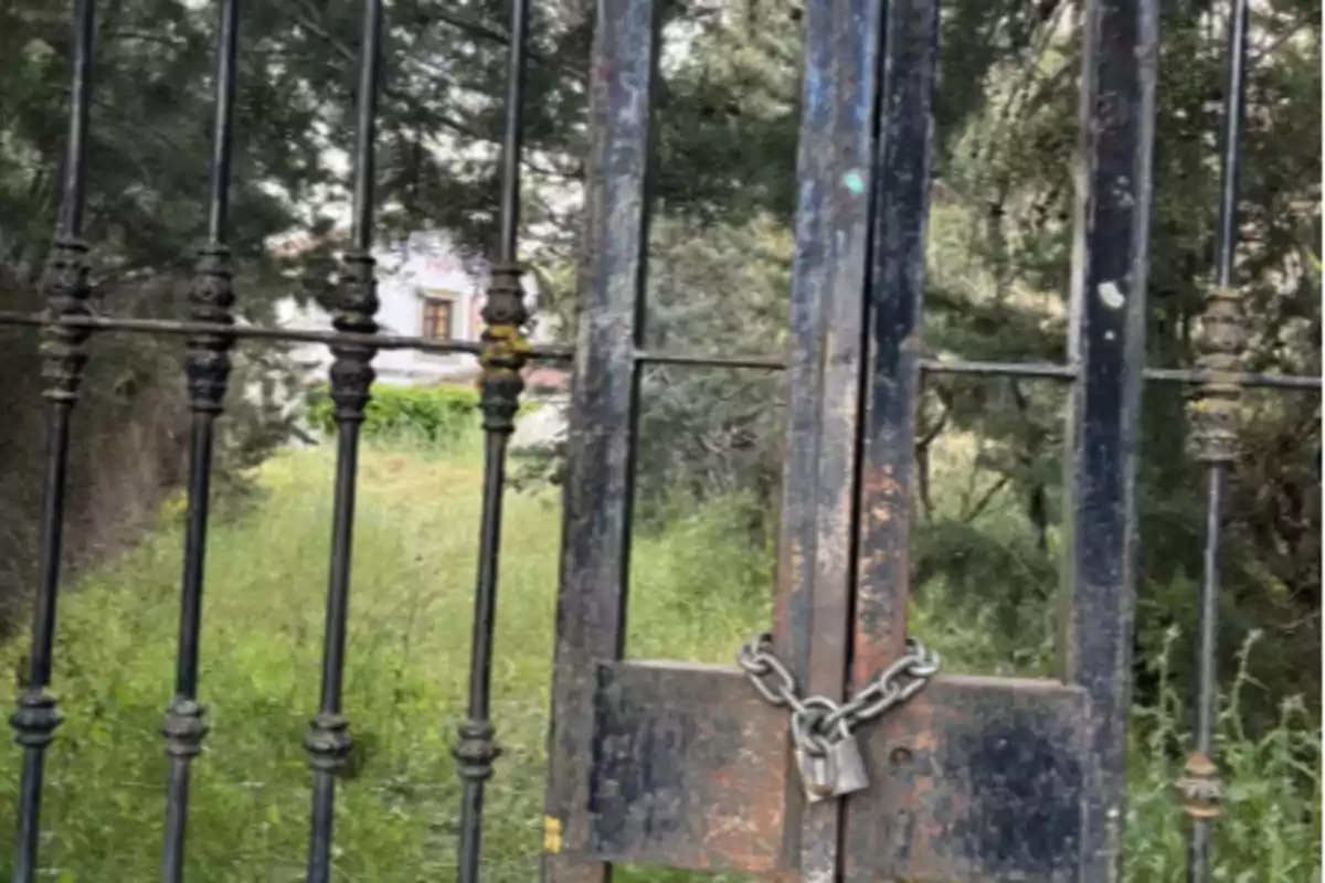 Portón de hierro oxidado con candado y cadena rodeado de vegetación y árboles con una casa al fondo Portón de hierro oxidado con candado y cadena rodeado de vegetación y árboles con una casa al fondo