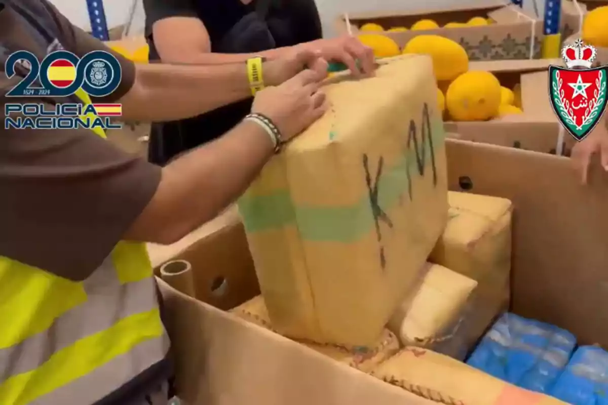 Agentes revisan cajas de cartón con paquetes envueltos y melones en el fondo, con logotipos de la Policía Nacional y otra institución en la imagen.