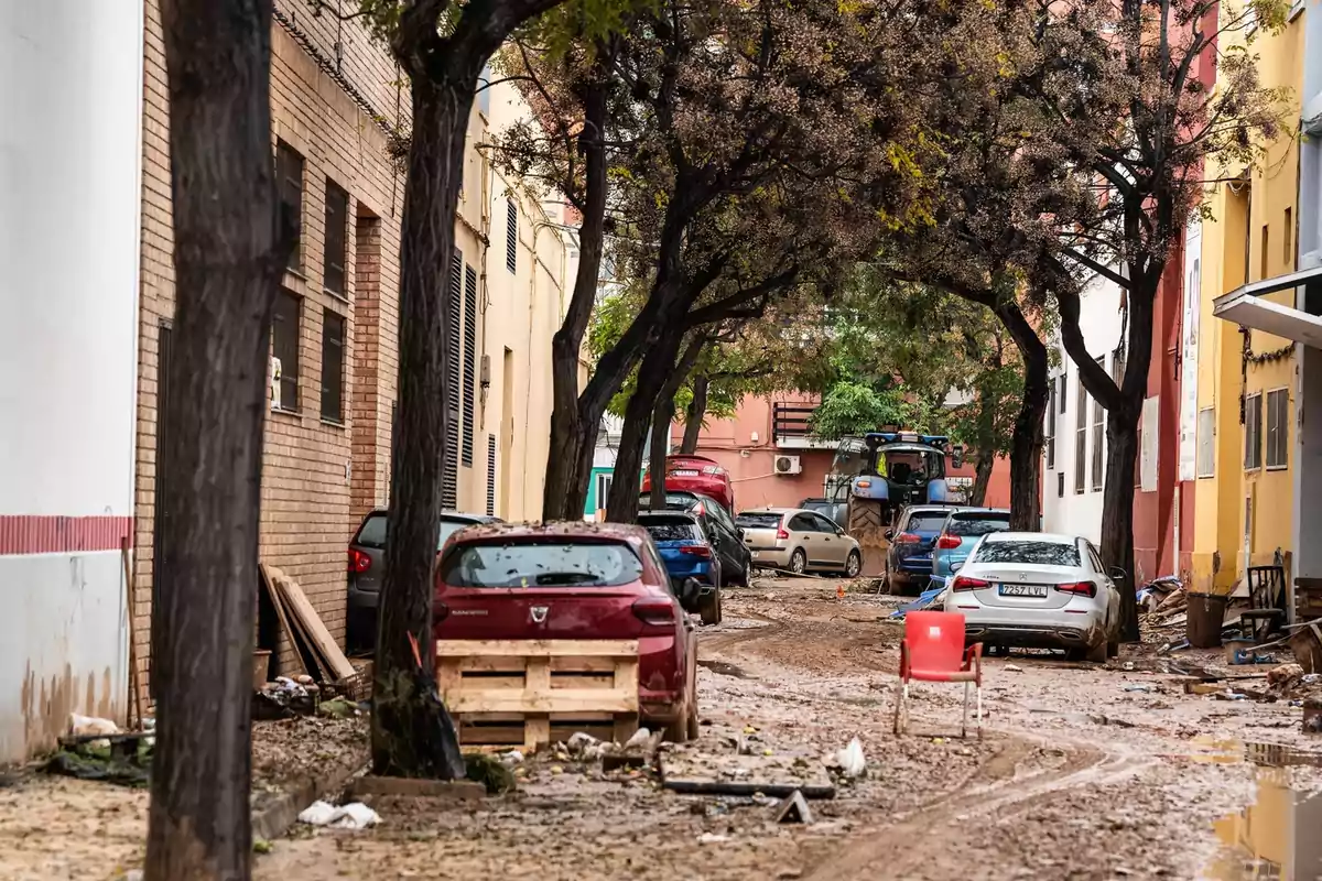 Calle estrecha con varios coches estacionados, árboles a los lados y el suelo cubierto de barro y escombros, con una silla roja en primer plano y un tractor al fondo Calle estrecha con varios coches estacionados, árboles a los lados y el suelo cubierto de barro y escombros, con una silla roja en primer plano y un tractor al fondo
