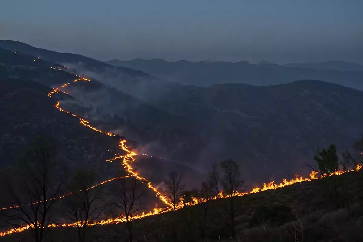 Incendio forestal avanzando por la ladera de una montaña durante el atardecer con humo y llamas visibles entre la vegetación Incendio forestal avanzando por la ladera de una montaña durante el atardecer con humo y llamas visibles entre la vegetación