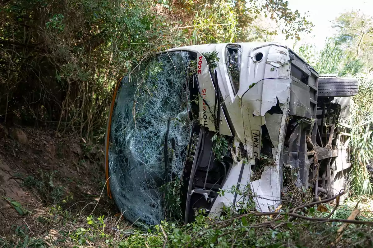Autobús volcado de lado en una zona boscosa con el parabrisas roto y daños visibles en la carrocería