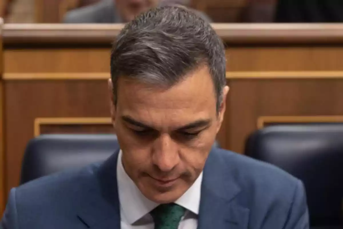 Hombre de cabello corto y canoso con traje azul y corbata verde mirando hacia abajo en un entorno de madera que parece un parlamento o sala de reuniones
