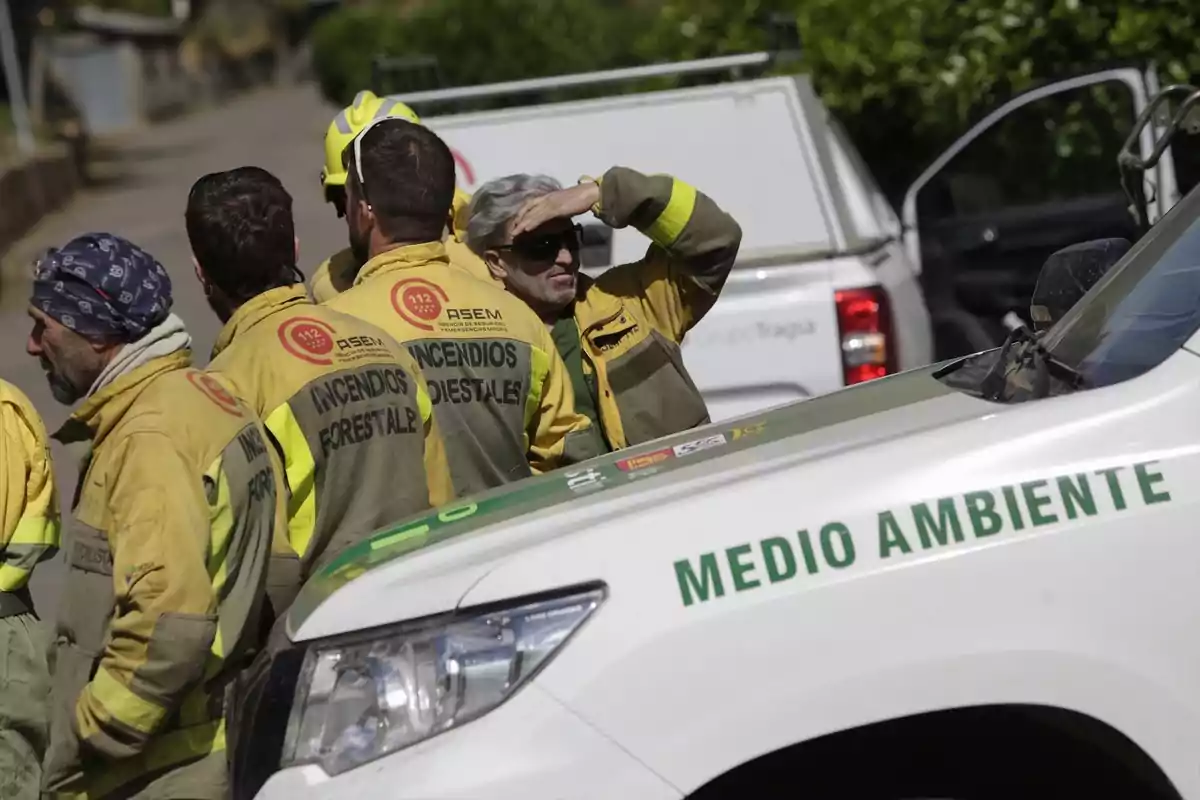 Un incendio en León moviliza medios aéreos y terrestres