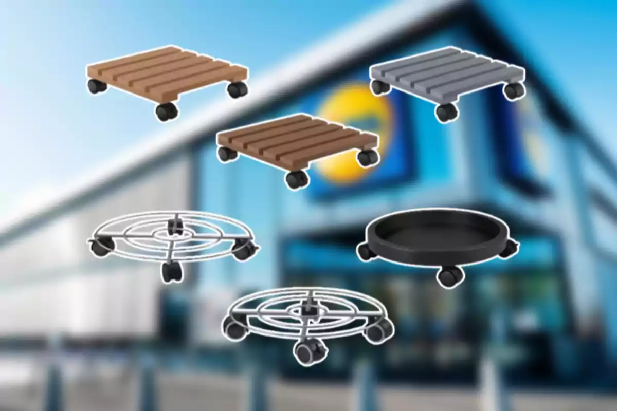 Seis bases con ruedas para macetas de diferentes formas y materiales sobre un fondo borroso de una tienda. Seis bases con ruedas para macetas de diferentes formas y materiales sobre un fondo borroso de una tienda.