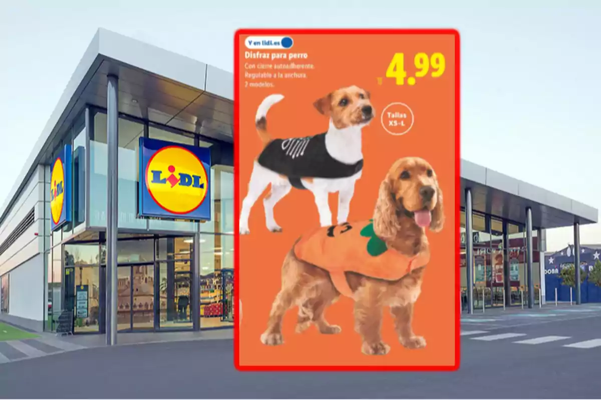 Tienda Lidl con un cartel promocional de disfraces para perro mostrando dos perros vestidos con disfraces de esqueleto y calabaza y el precio destacado Tienda Lidl con un cartel promocional de disfraces para perro mostrando dos perros vestidos con disfraces de esqueleto y calabaza y el precio destacado