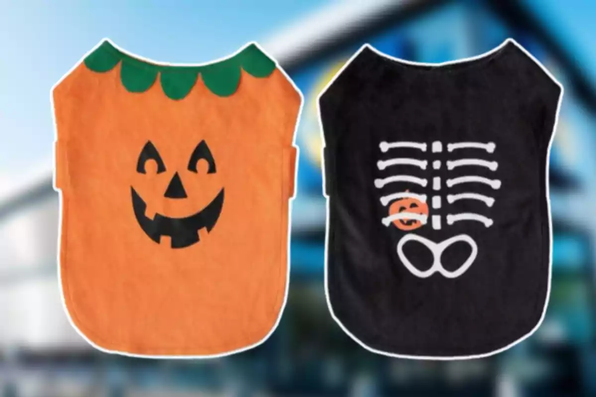 Dos disfraces de Halloween para perro, uno naranja con cara de calabaza sonriente y otro negro con diseño de esqueleto y una pequeña calabaza Dos disfraces de Halloween para perro, uno naranja con cara de calabaza sonriente y otro negro con diseño de esqueleto y una pequeña calabaza