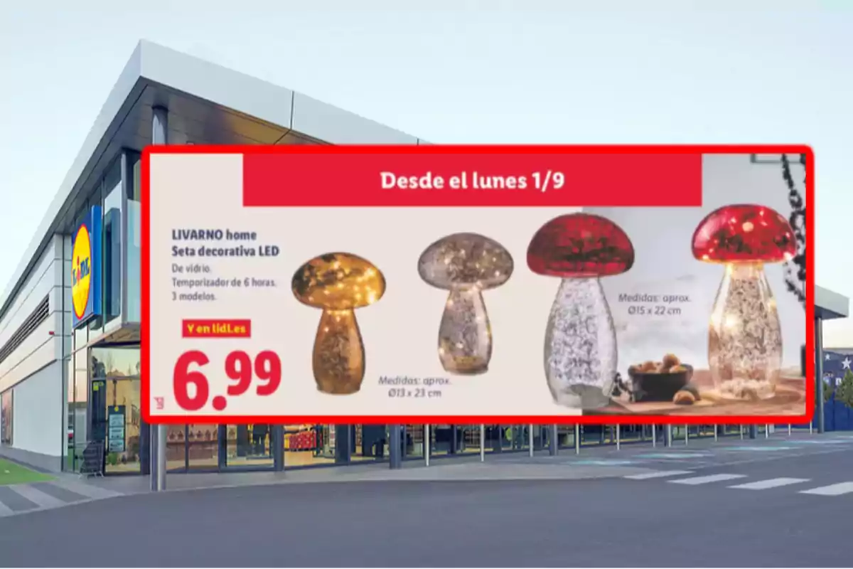Publicidad de una tienda Lidl mostrando una oferta de setas decorativas LED de vidrio en tres modelos diferentes con precio de 6,99 euros disponible a partir del lunes 1 de septiembre Publicidad de una tienda Lidl mostrando una oferta de setas decorativas LED de vidrio en tres modelos diferentes con precio de 6,99 euros disponible a partir del lunes 1 de septiembre