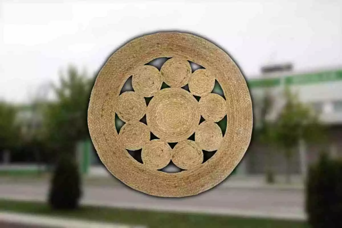 Tapete redondo de fibras naturales con diseño de círculos entrelazados sobre un fondo exterior desenfocado