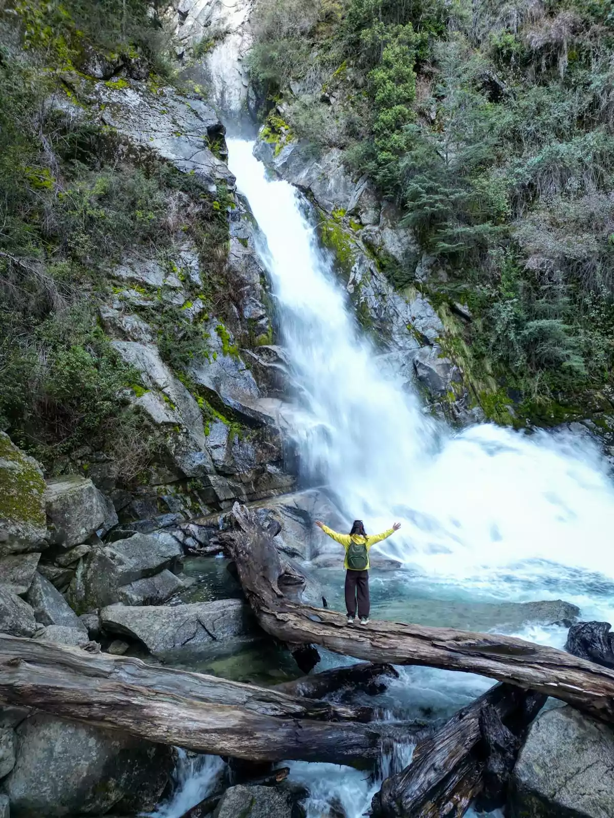 Persona de pie sobre un tronco caído frente a una cascada rodeada de vegetación y rocas Persona de pie sobre un tronco caído frente a una cascada rodeada de vegetación y rocas