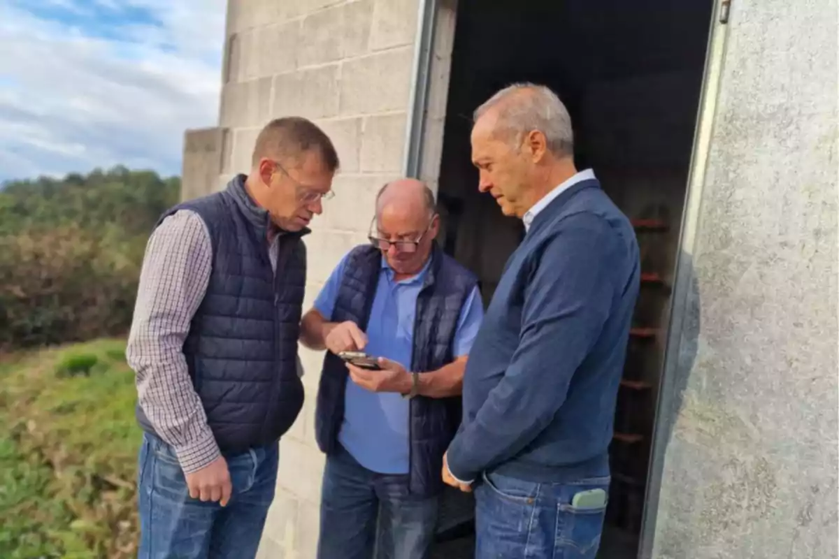 Tres hombres de pie conversan y observan un teléfono móvil frente a una construcción de bloques de cemento en un entorno rural Tres hombres de pie conversan y observan un teléfono móvil frente a una construcción de bloques de cemento en un entorno rural