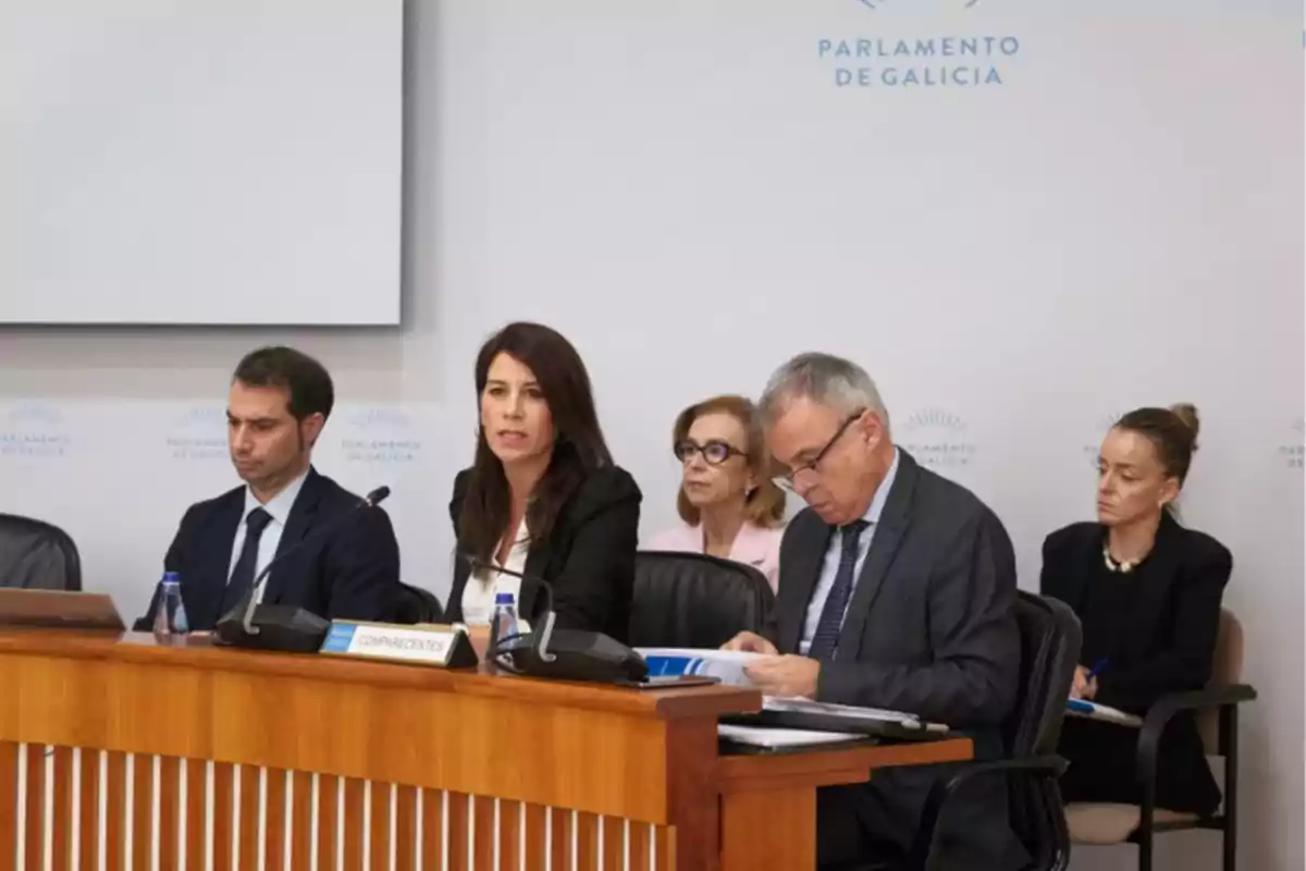Cinco personas sentadas en una mesa durante una reunión en el Parlamento de Galicia, con micrófonos, documentos y botellas de agua sobre la mesa. Cinco personas sentadas en una mesa durante una reunión en el Parlamento de Galicia, con micrófonos, documentos y botellas de agua sobre la mesa.