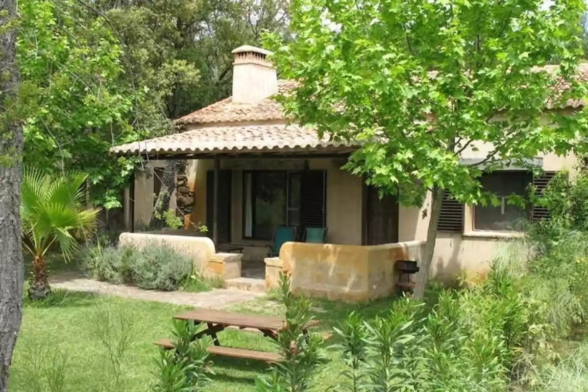 Casa de campo rodeada de árboles y vegetación con un banco de madera en el jardín delantero
