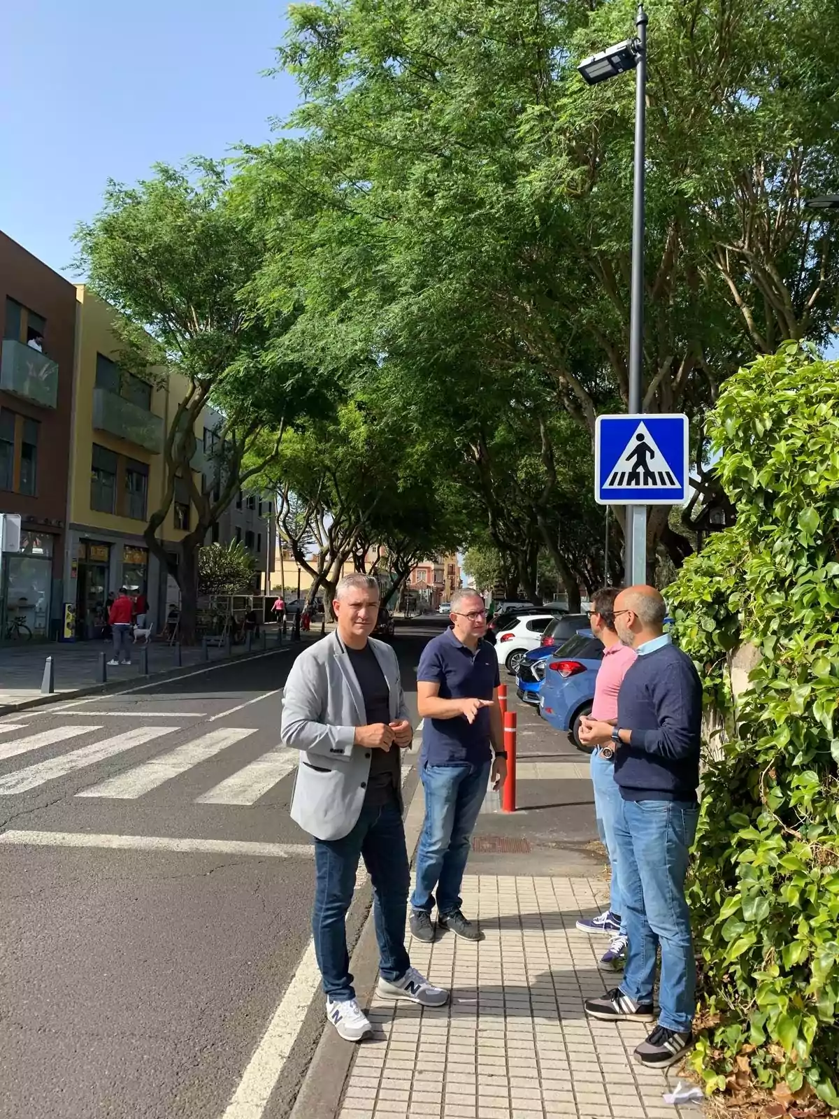 Cuatro hombres conversan en una acera junto a un paso de peatones en una calle arbolada y soleada