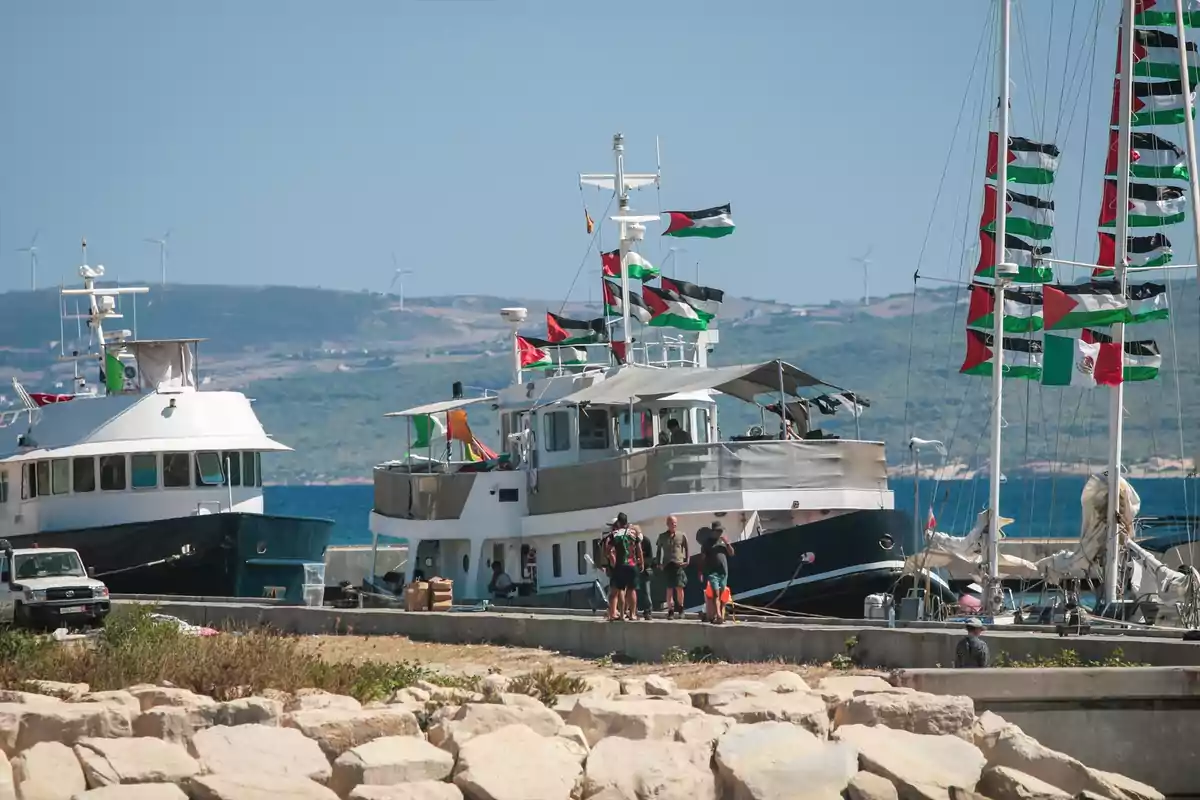 Barcos atracados en un puerto decorados con numerosas banderas palestinas y varias personas caminando por el muelle en un día soleado