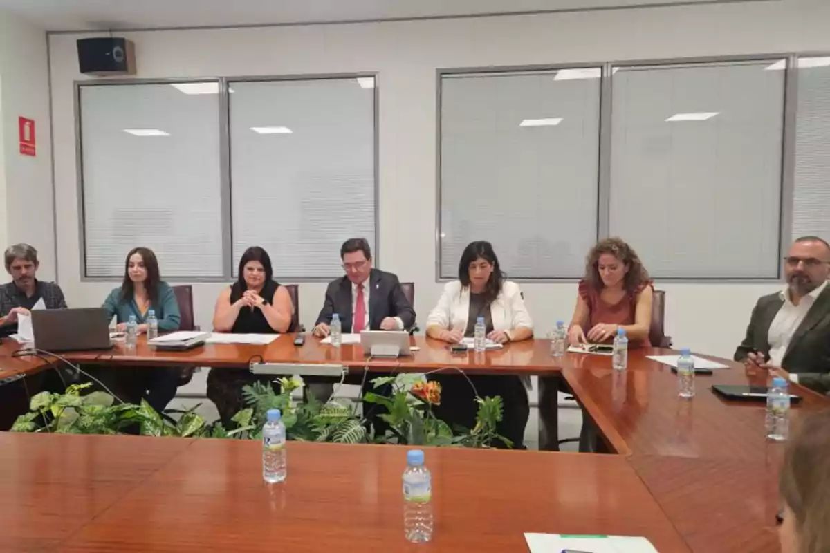 Varias personas sentadas alrededor de una mesa de reuniones con botellas de agua y documentos, en una sala de oficina con ventanas y plantas decorativas.