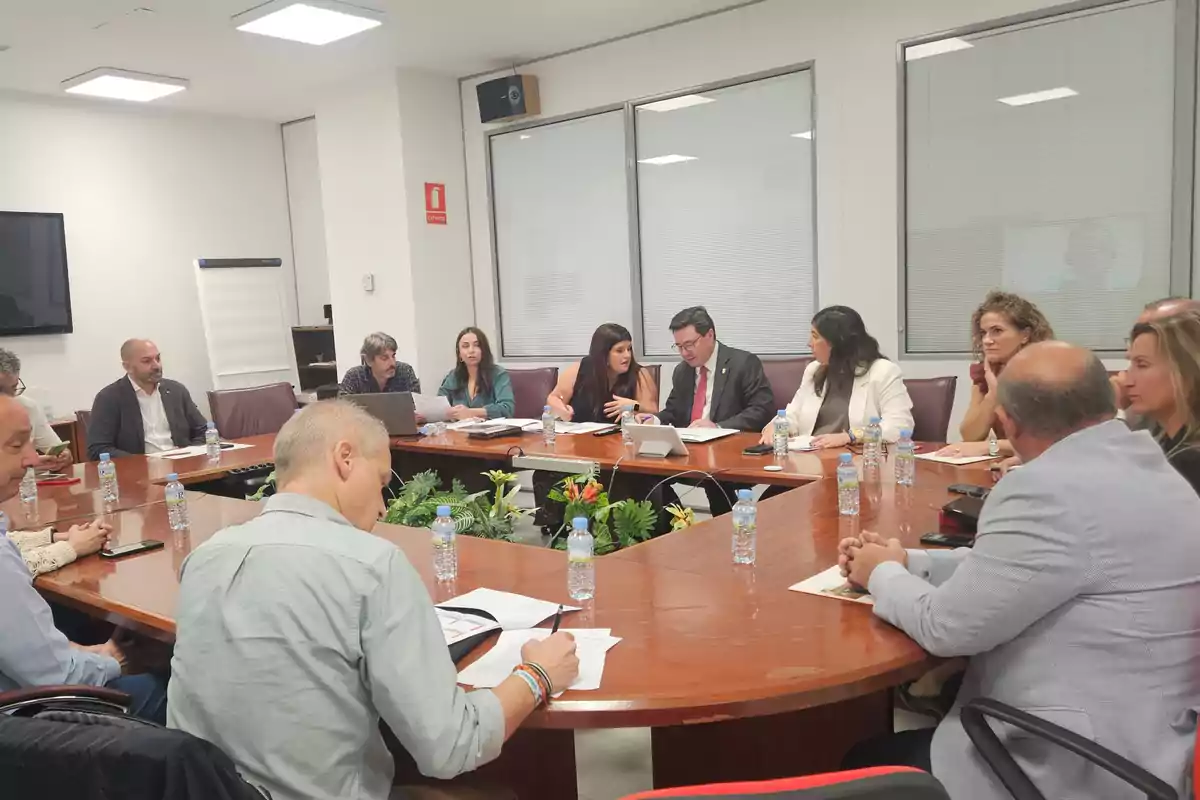 Varias personas sentadas alrededor de una mesa de reuniones en una oficina, conversando y revisando documentos, con botellas de agua y plantas decorativas en el centro de la mesa.