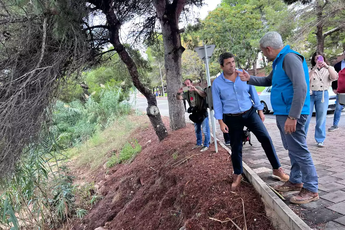 Varias personas observan y conversan junto a una zona de tierra y árboles al borde de una acera, mientras algunos toman fotos con sus teléfonos. Varias personas observan y conversan junto a una zona de tierra y árboles al borde de una acera, mientras algunos toman fotos con sus teléfonos.
