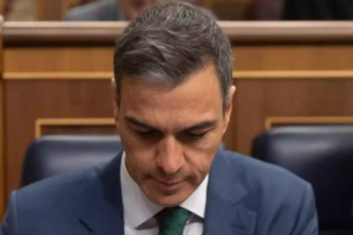 Hombre de cabello corto y canoso con traje azul y corbata verde mirando hacia abajo en un entorno de madera que parece un parlamento o sala de reuniones