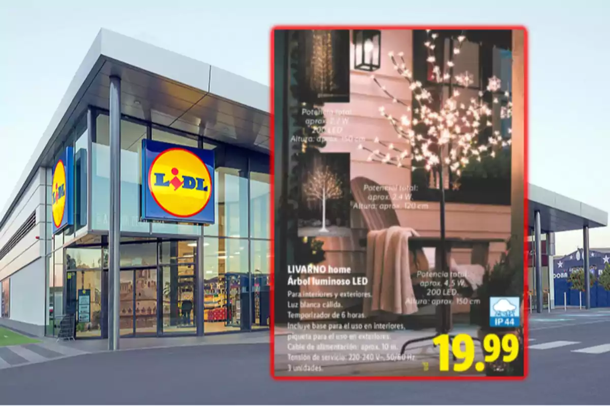 Fachada de una tienda Lidl con un anuncio destacado de un árbol luminoso LED de la marca Livarno home en oferta por 19.99 euros