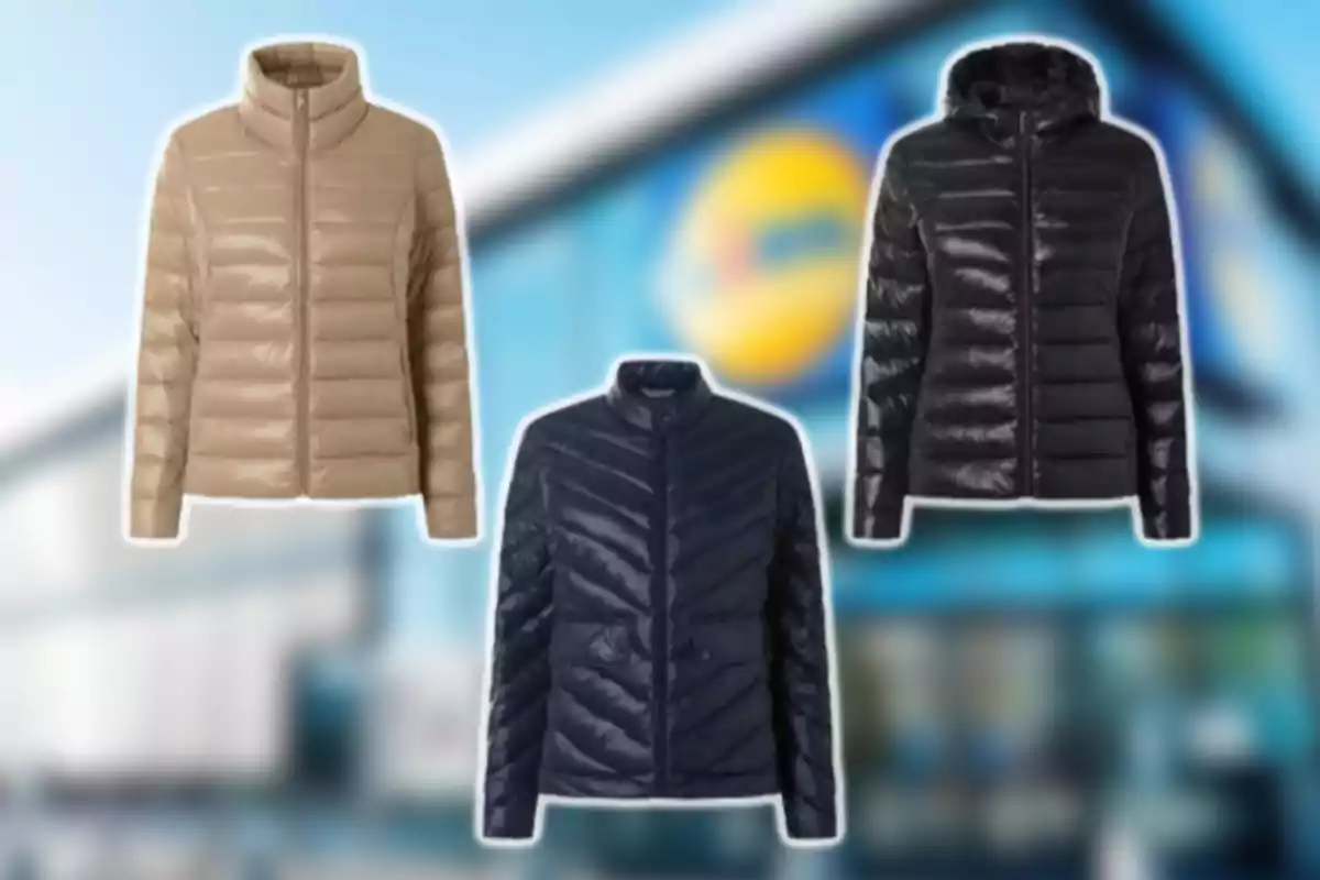 Tres chaquetas acolchadas de diferentes colores sobre un fondo desenfocado de una tienda
