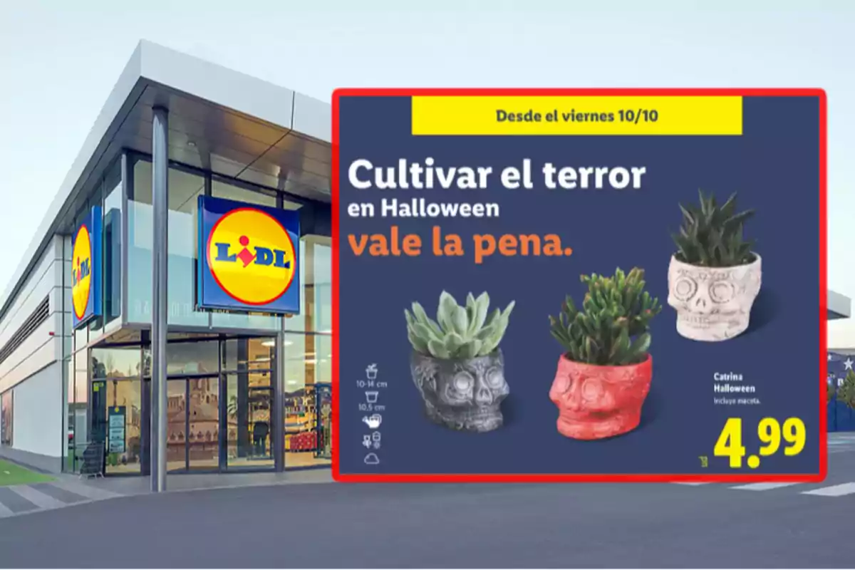 Fachada de una tienda Lidl con un anuncio de macetas en forma de calavera para Halloween a un precio de 4.99 euros Fachada de una tienda Lidl con un anuncio de macetas en forma de calavera para Halloween a un precio de 4.99 euros